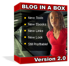 Blog In A Box Kit: With Master Resale RIghts