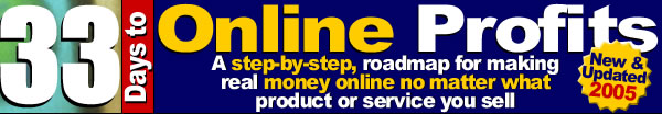 Make Money Online Guide - 33 Days to Online Profits '2005 Edition'