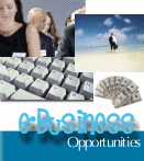 Ebook Business Opportunity