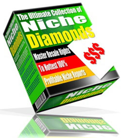 Master Resell Rights To Profitable Niche Ebooks And Reports Package